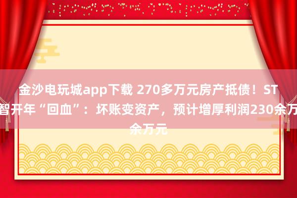 金沙電玩城app下載 270多萬元房產抵債!ST遠智開年“回血”:壞賬變資產,預計增厚利潤230余萬元