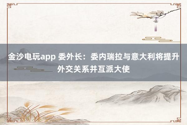 金沙電玩app 委外長(zhǎng)：委內(nèi)瑞拉與意大利將提升外交關(guān)系并互派大使