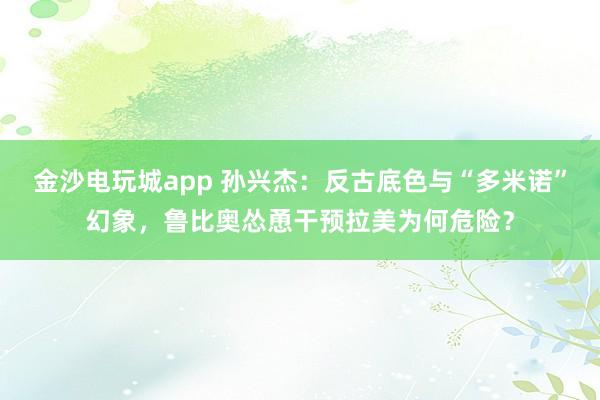 金沙電玩城app 孫興杰:反古底色與“多米諾”幻象,魯比奧慫恿干預(yù)拉美為何危險?