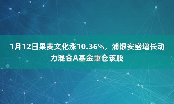 1月12日果麥文化漲10.36%，浦銀安盛增長動力混合A基金重倉該股