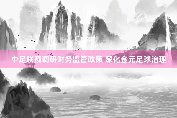 中足聯(lián)預調研財務監(jiān)管政策 深化金元足球治理