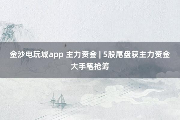 金沙電玩城app 主力資金 | 5股尾盤獲主力資金大手筆搶籌