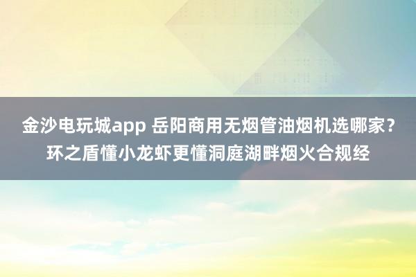 金沙電玩城app 岳陽(yáng)商用無(wú)煙管油煙機(jī)選哪家？環(huán)之盾懂小龍蝦更懂洞庭湖畔煙火合規(guī)經(jīng)