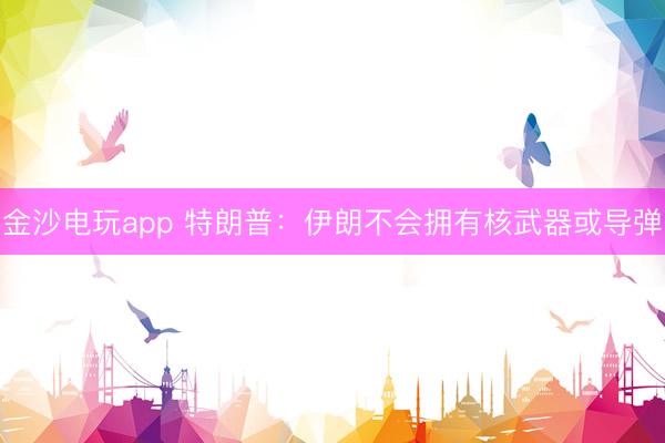 金沙電玩app 特朗普:伊朗不會擁有核武器或?qū)?></p><p><img id=