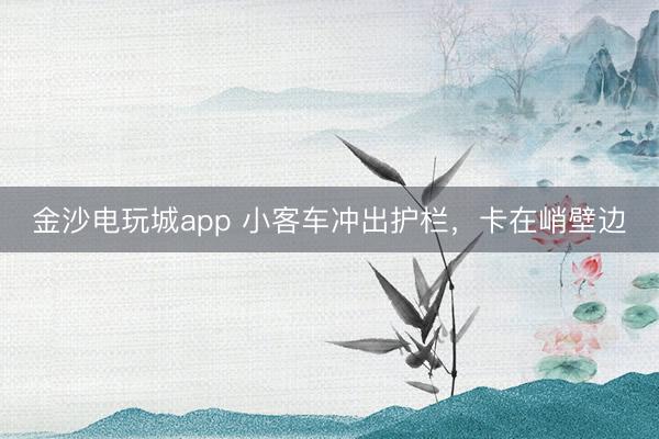 金沙電玩城app 小客車沖出護欄，卡在峭壁邊