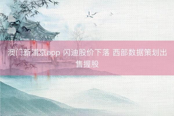澳門新浦京app 閃迪股價下落 西部數據策劃出售握股