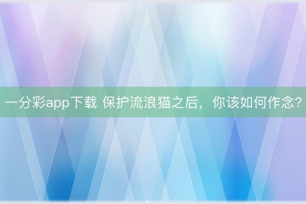 一分彩app下載 保護(hù)流浪貓之后，你該如何作念?