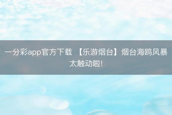一分彩app官方下載 【樂游煙臺(tái)】煙臺(tái)海鷗風(fēng)暴太觸動(dòng)啦!