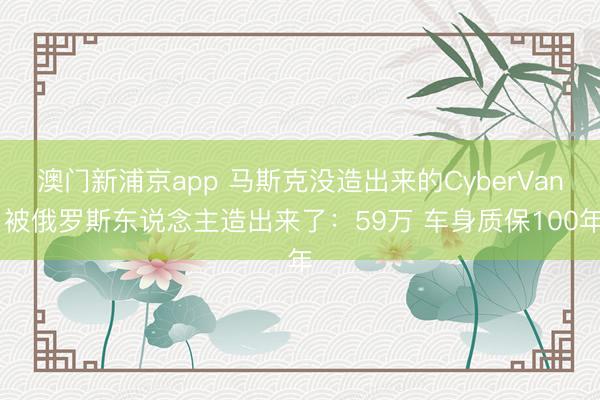 澳門新浦京app 馬斯克沒造出來的CyberVan 被俄羅斯東說念主造出來了：59萬 車身質保100年